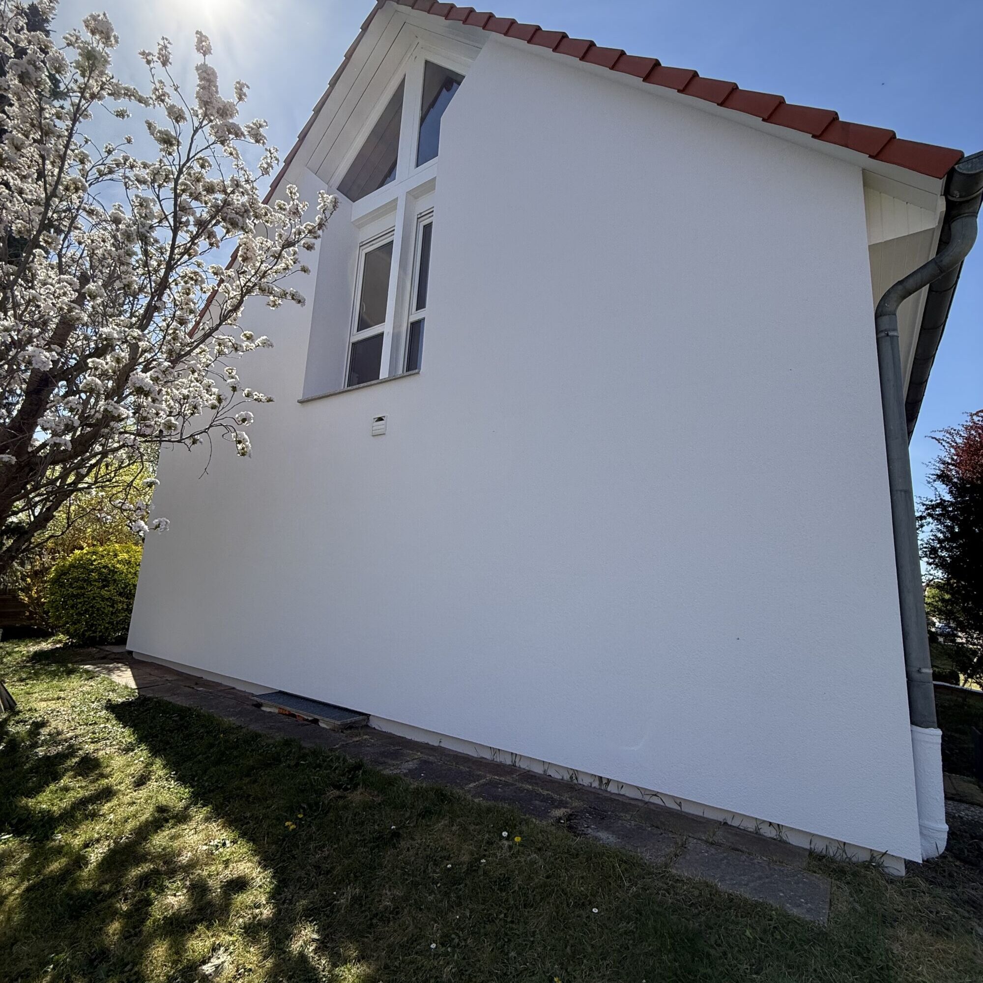 IMG_3585 2000X2000 | CRÉPI STYLE Peinture de façade anti-algues, crépi ou bardage : quel revêtement choisir en fonction de votre environnement ? Ostwald