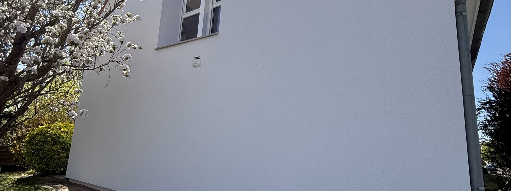 IMG_3585 2000X750 | CRÉPI STYLE Peinture de façade anti-algues, crépi ou bardage : quel revêtement choisir en fonction de votre environnement ? Ostwald