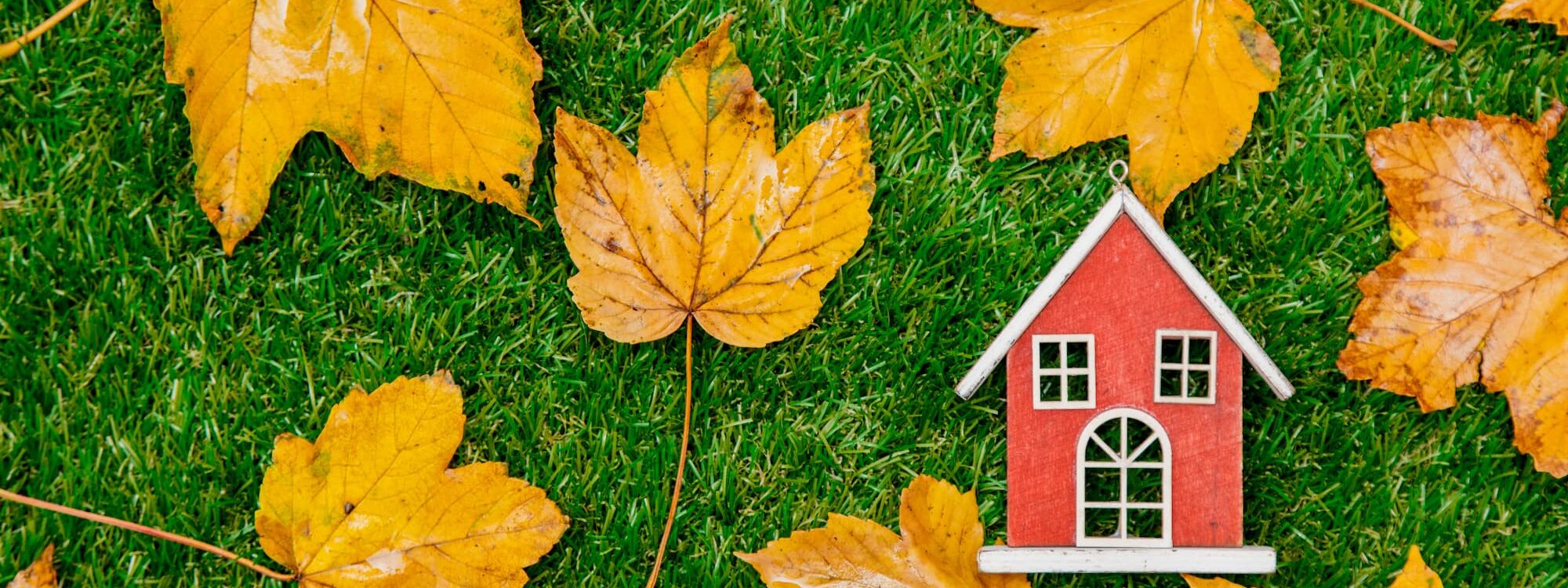 RAVALEMENT_FACADE_AUTOMNE 2000X750 | CRÉPI STYLE Comment bien anticiper les contraintes de chantier pour un ravalement de façade en automne ? Haguenau