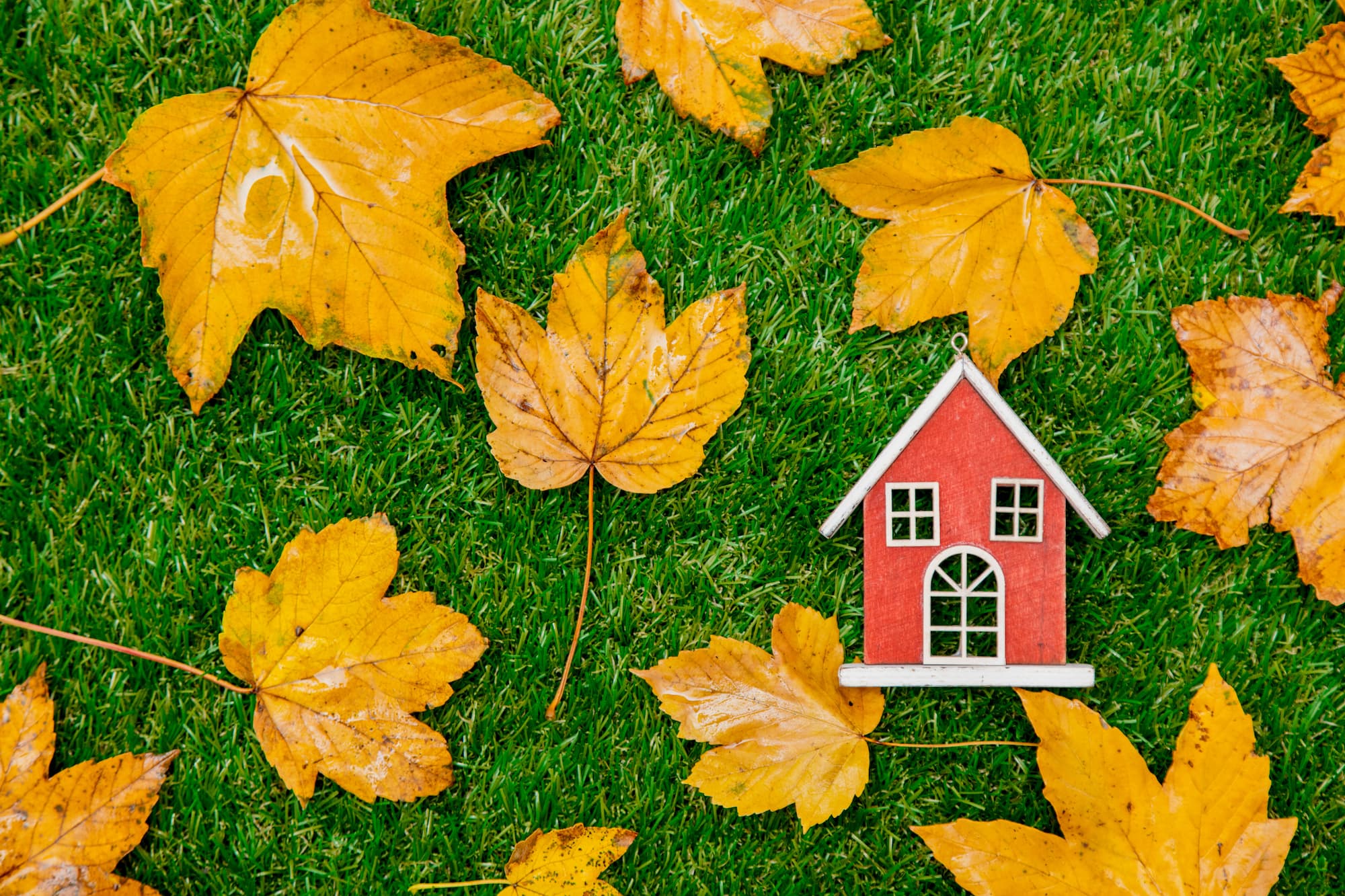 Comment bien anticiper les contraintes de chantier pour un ravalement de fa&ccedil;ade en automne ? Haguenau